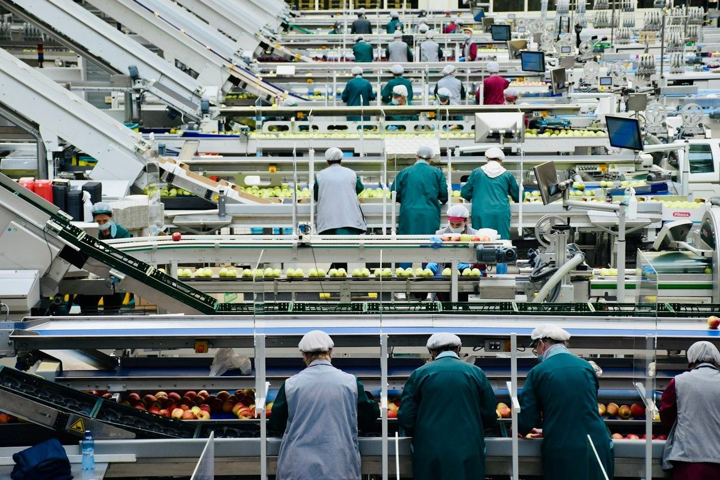 A modern food-processing plant with workers on a packing line