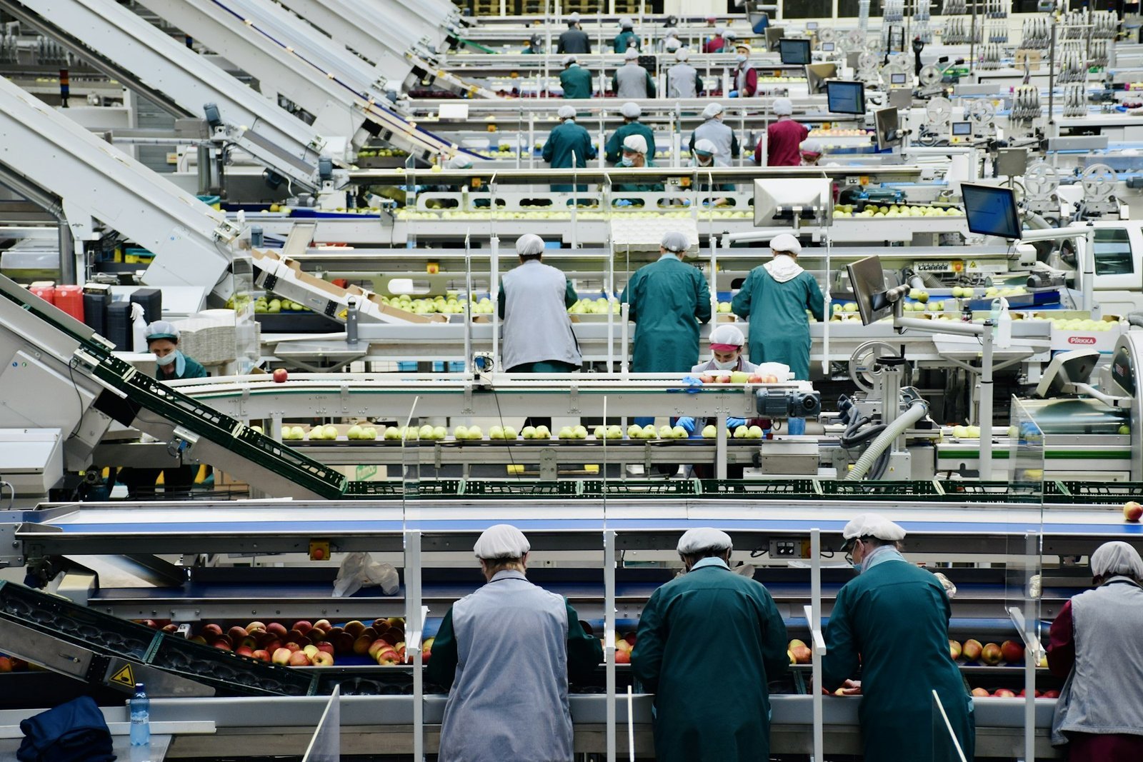 A fruit-processing team on the production line