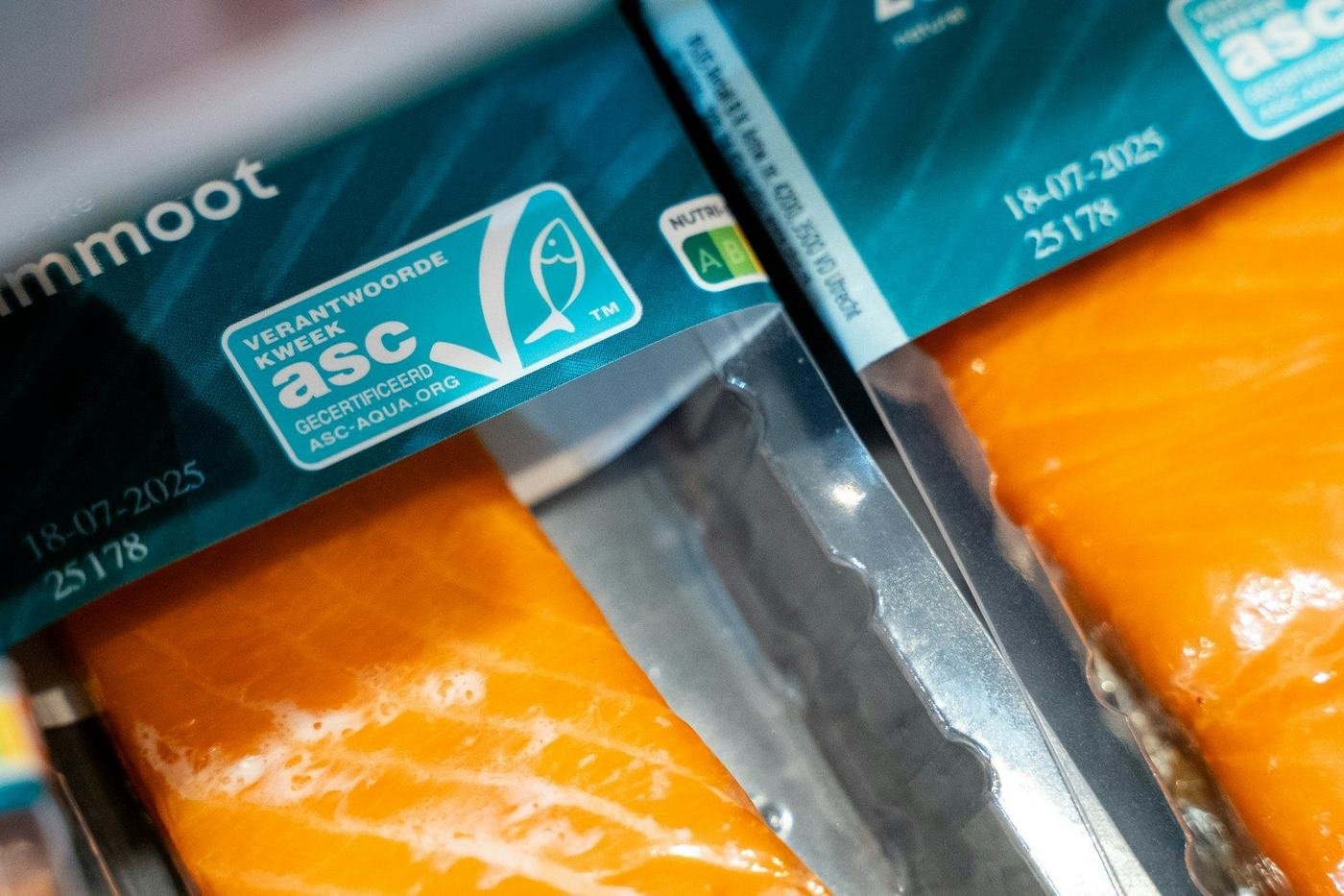 Certified salmon fillets packed for supermarket shelves